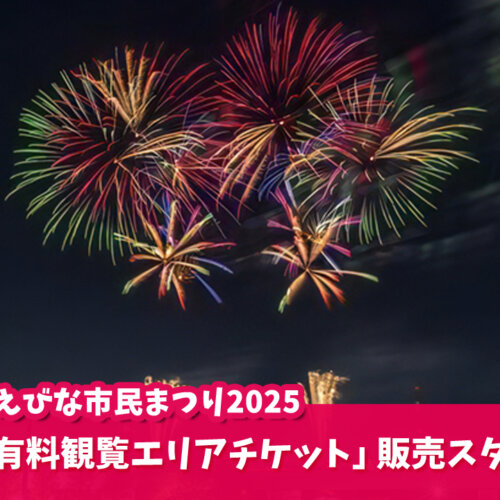 海老名　市民まつり　花火大会