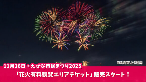 海老名　市民まつり　花火大会