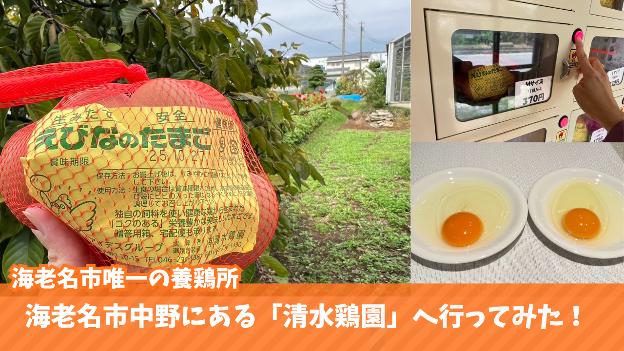 清水鶏園　海老名　たまご　自動販売機