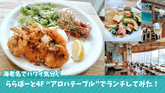 アロハテーブル　海老名　ハワイアン　ランチ