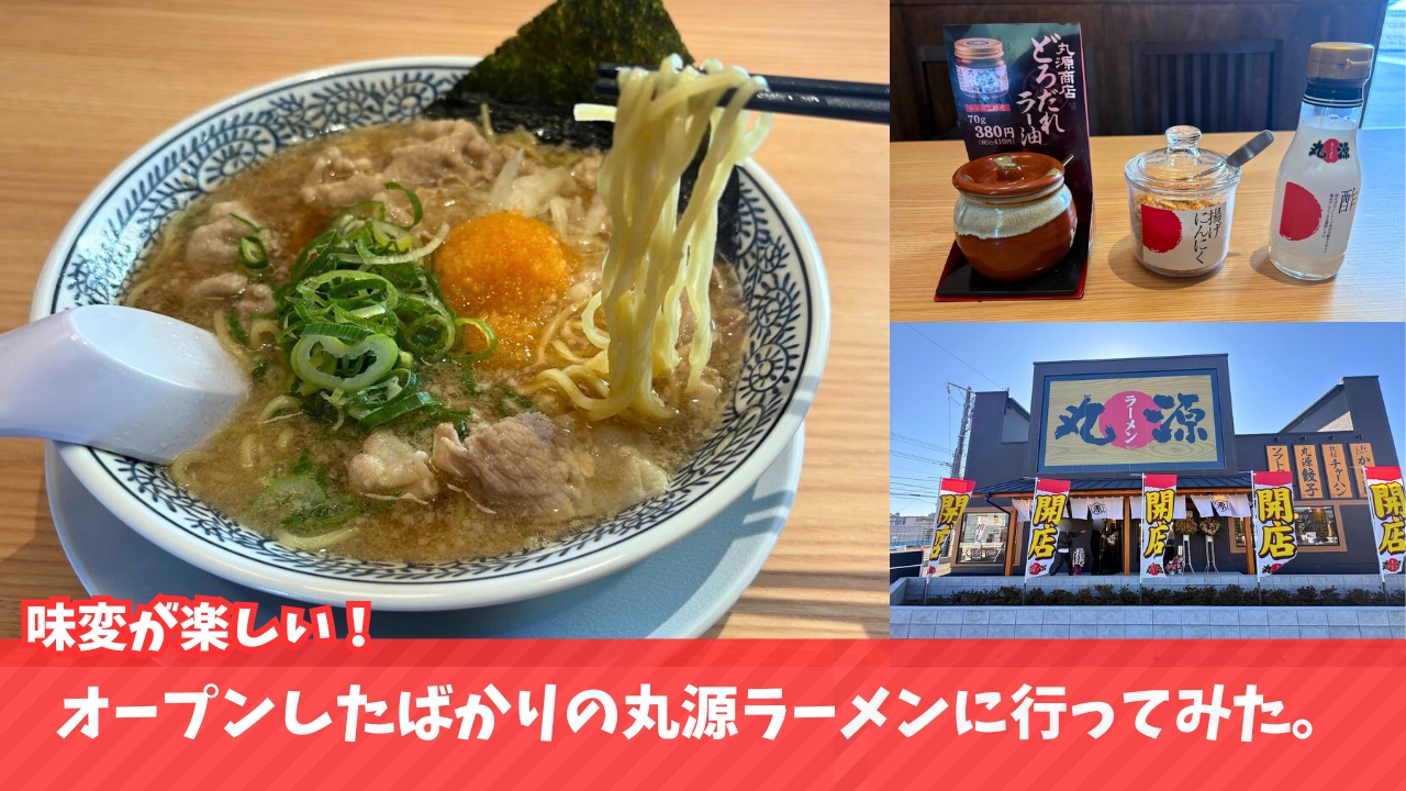 丸源ラーメン　ラーメン　　ランチ　海老名