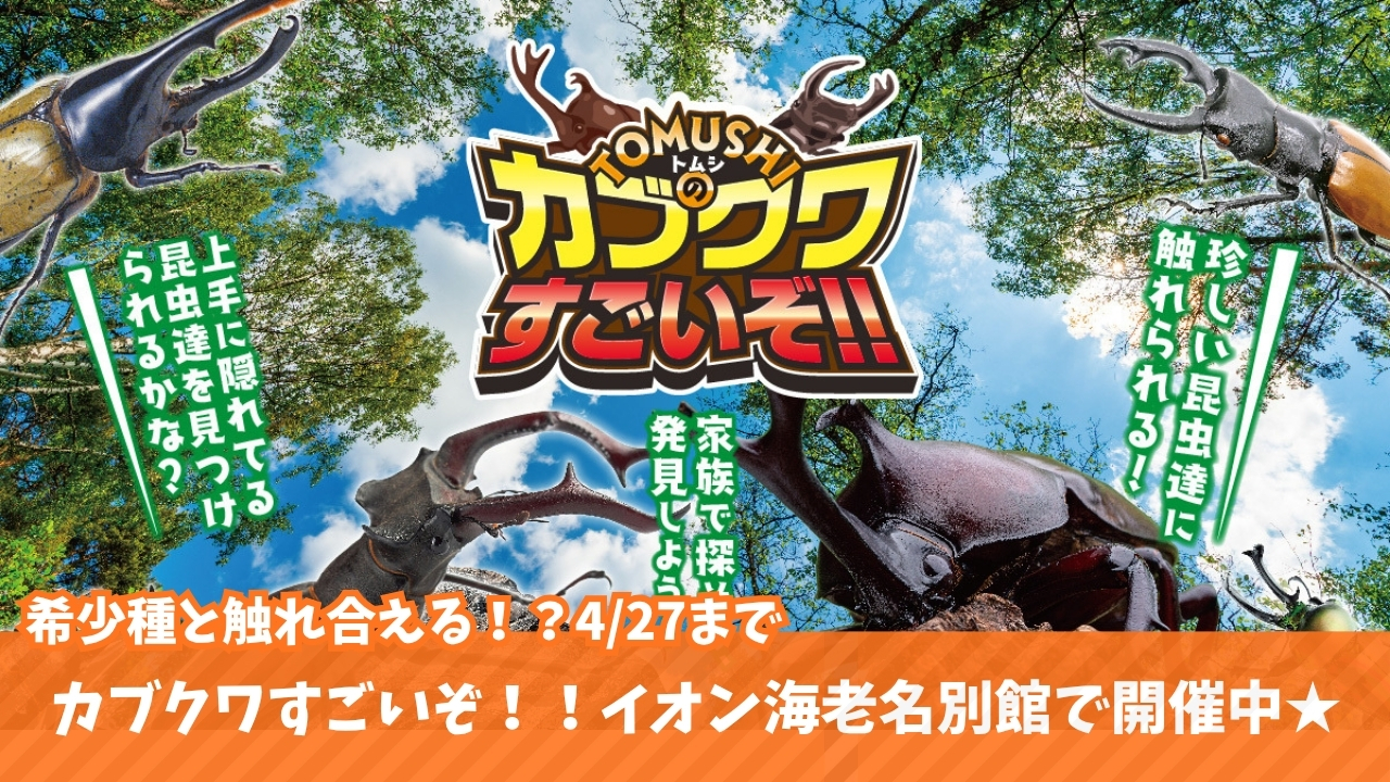 カブトムシ クワガタ イベント 海老名 子供 カブクワ