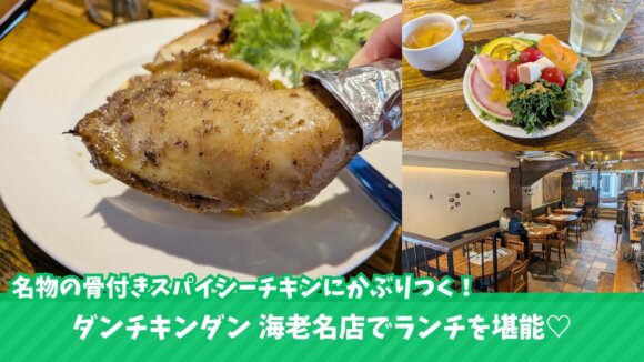 ダンチキンダン　海老名　ランチ　スパイシーチキン
