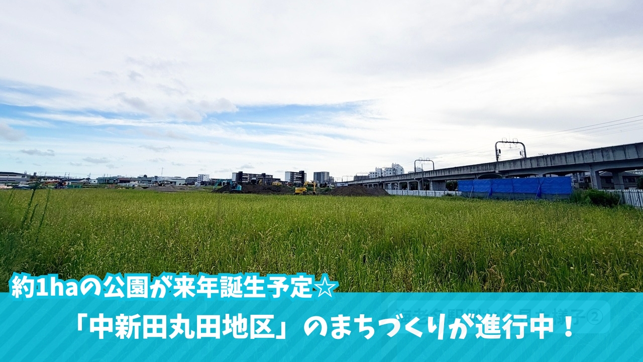 中新田　公園　工事　開発　海老名　情報