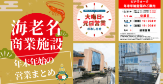 海老名 ビナウォーク マルイ ビナガーデンズ 商業施設 ららぽーと 年末年始