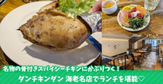 ダンチキンダン　海老名　ランチ　スパイシーチキン