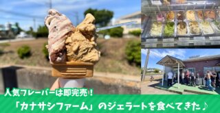 カナサシファーム　ジェラート　海老名　スイーツ