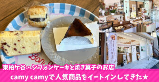 camycamy シフォンケーキ 海老名 焼き菓子 バスクチーズケーキ お菓子 おやつ