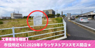 ドラッグストア 海老名 コスモス 海老名市役所 開発事業